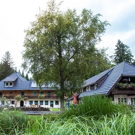 Kuckucksnester